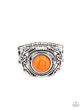 Paparazzi Silver Ring (R077)